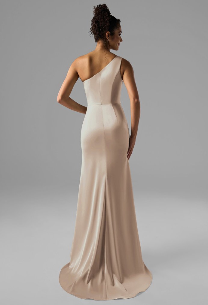 AW Rohan Dress